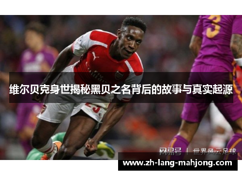 维尔贝克身世揭秘黑贝之名背后的故事与真实起源 维尔贝克身世揭秘黑贝之名背后的故事与真实起源