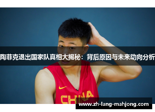 陶菲克退出国家队真相大揭秘:背后原因与未来动向分析 陶菲克退出国家队真相大揭秘:背后原因与未来动向分析